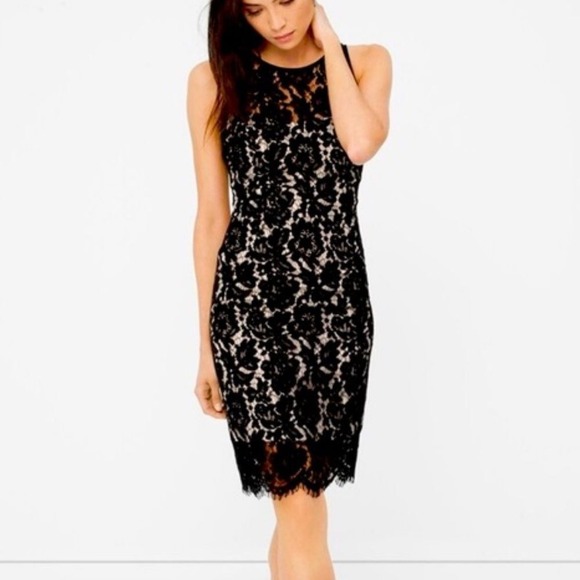 White‎ House Black Market Sleeveless Black Floral Lace Sheath